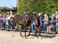 PN280925-93 - Len